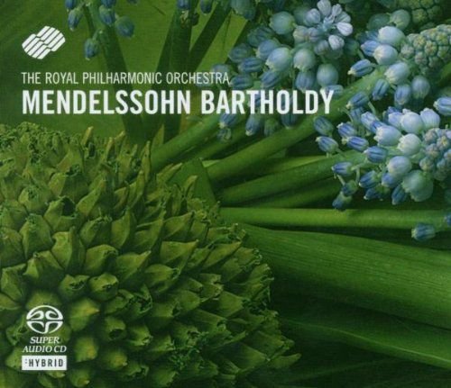 Mendelssohn - Violin Concerto; Midsummer Night's Dream -Excs Various Artists