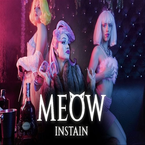 Meow InstaIN