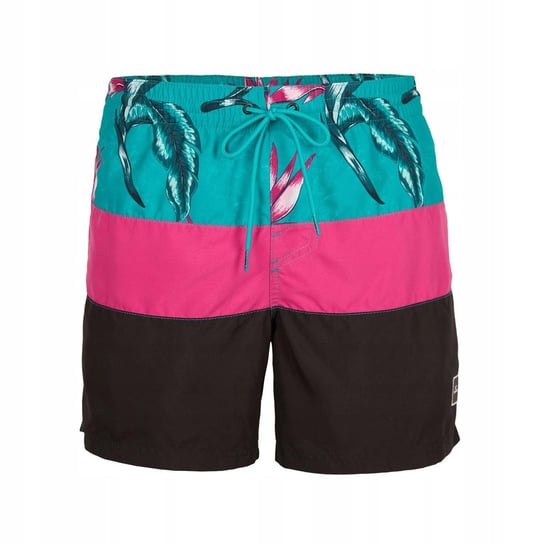 Męskie Szorty FRAME BLOCK SHORTS L O'neill