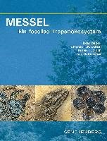 MESSEL - Ein fossiles Tropenökosystem Schweizerbart Sche Vlgsb., Schweizerbart'sche Verlagsbuchhandlung E.