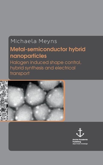 Metal-Semiconductor Hybrid Nanoparticles Meyns Michaela