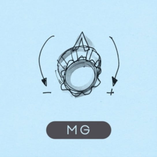 MG, płyta winylowa Gore Martin L.