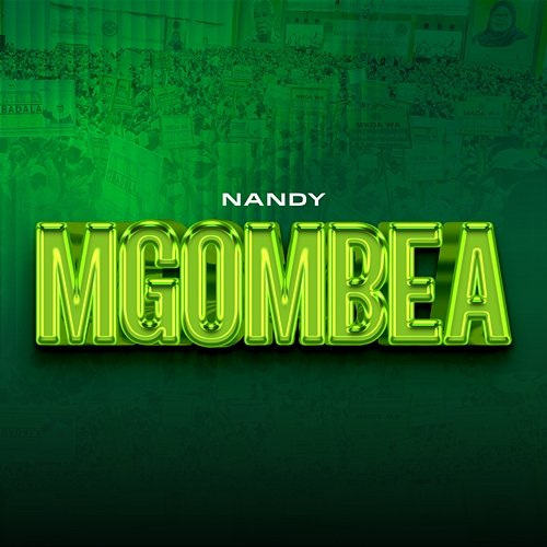 Mgombea Nandy