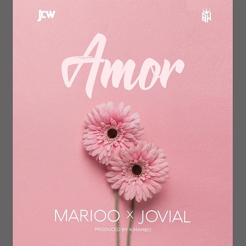 Mi Amor Marioo feat. Jovial
