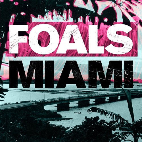 Miami Foals
