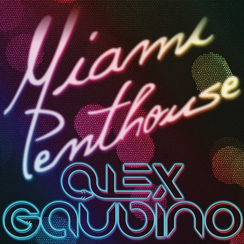 Miami Penthouse Alex Gaudino