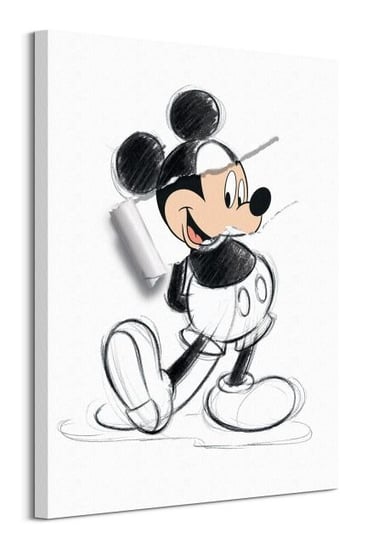 Mickey Mouse Torn Sketch - obraz na płótnie Disney