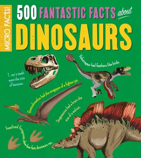 Micro Facts! 500 Fantastic Facts About Dinosaurs Rooney Anne