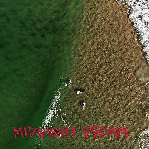 Midnight Escape Felicia Staley