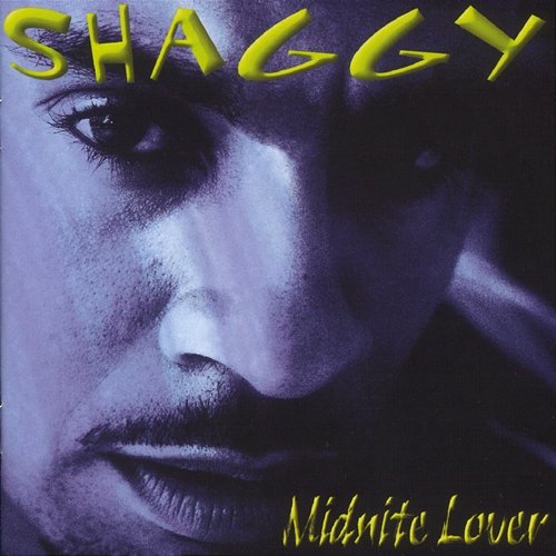 Perfect Song Shaggy, Maxi Priest