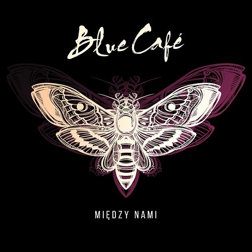 Między Nami Blue Cafe