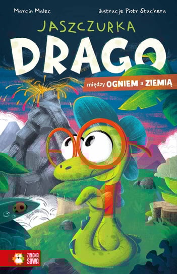 Między ogniem a ziemią. Jaszczurka Drago Marcin Malec
