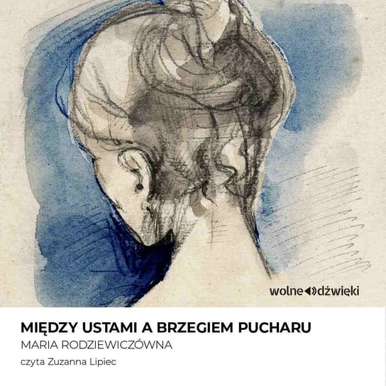 Między ustami a brzegiem pucharu - audiobook Rodziewiczówna Maria