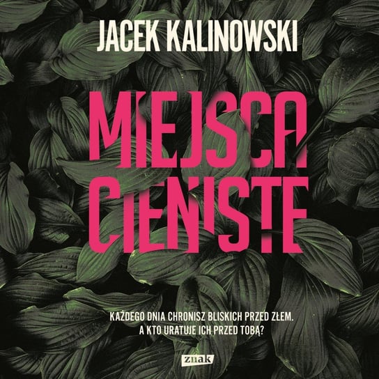 Miejsca cieniste Kalinowski Jacek