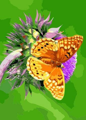 Miejsce  motyla - Malowanie po numerach 50x40 cm ArtOnly