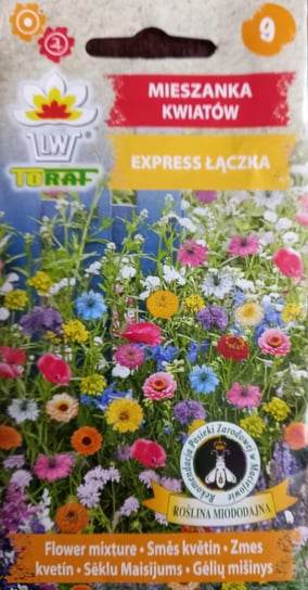 Mieszanka Kwiatów Express Łączka Nasiona 2 G Inny producent