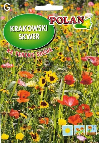 Mieszanka kwiatów Krakowski Skwer na tereny suche 10 g POLAN Inna marka