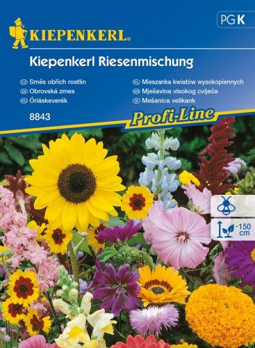 Mieszanka kwiatów wysokopiennych Kiepenkerl KIEPENKERL