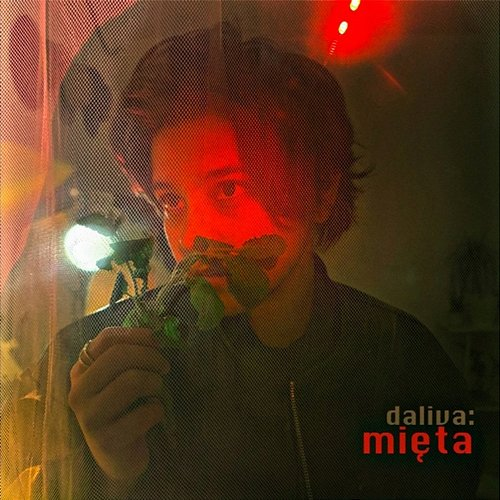 Mięta Daliva