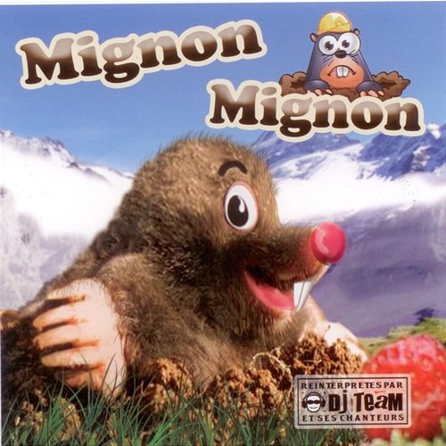 Mignon mignon Cover Team