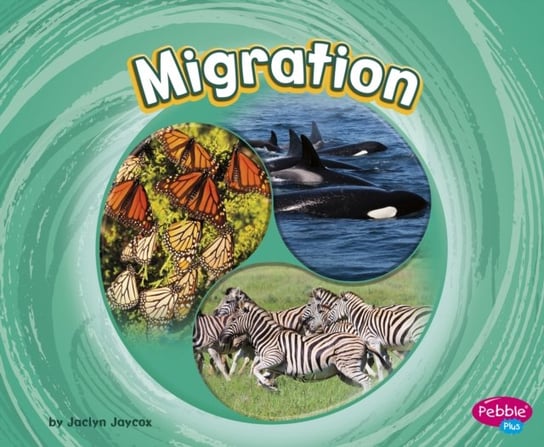 Migration Jaclyn Jaycox