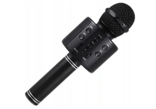 Mikrofon Hykker PRZENOŚNY MIKROFON KARAOKE DLA DZIECI DO ZABAWY Inny producent