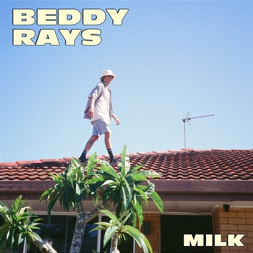 Milk Beddy Rays