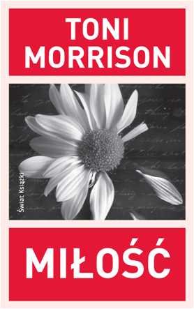Miłość Morrison Toni