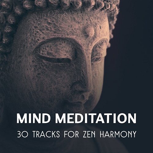 Mind Meditation – 30 Tracks for Zen Harmony, Inner Balance, Soothing Relaxation Music Collective, Focus & Concentrate Odyssey for Relax Music Universe