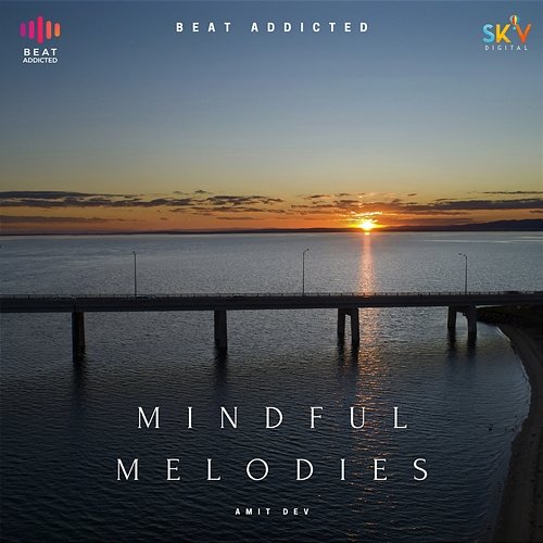Mindful Melodies Amit Dev
