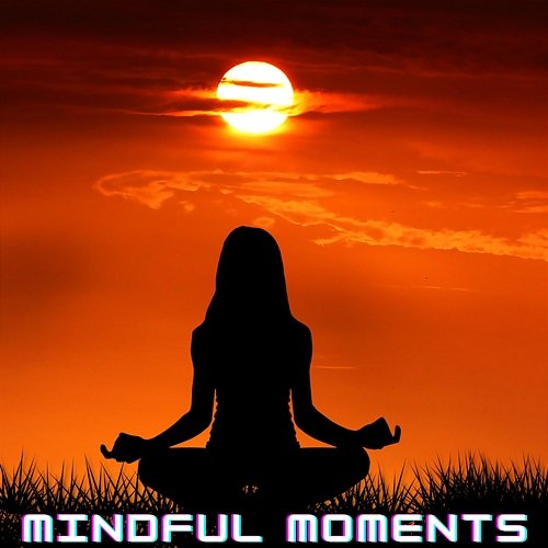 Mindful Moments: Relaxing Meditative Melodies for Stress Reduction Chakra Meditation Kingdom