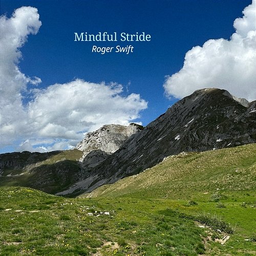 Mindful Stride Roger Swift