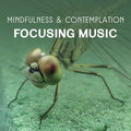 Mindfulness & Contemplation – Focusing Music for Brain Development, Effective Yoga, Peaceful Meditation Techniques, Deep Mind Experience Peaceful Sounds Zone