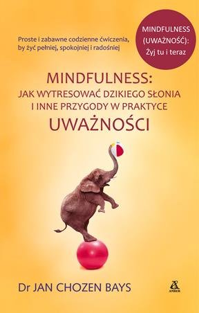 Mindfulness: Jak wytresować dzikiego słonia i inne przygody w praktyce uważności Jan Chozen Bays