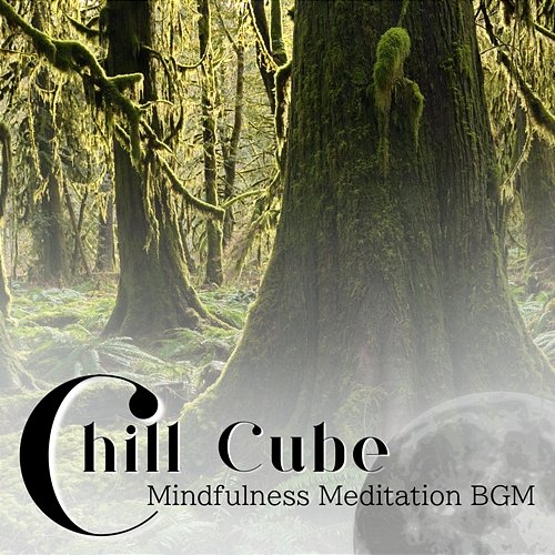 Mindfulness Meditation Bgm Chill Cube