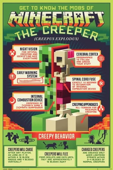 Minecraft Creeper - plakat z gry 61x91,5 cm Minecraft