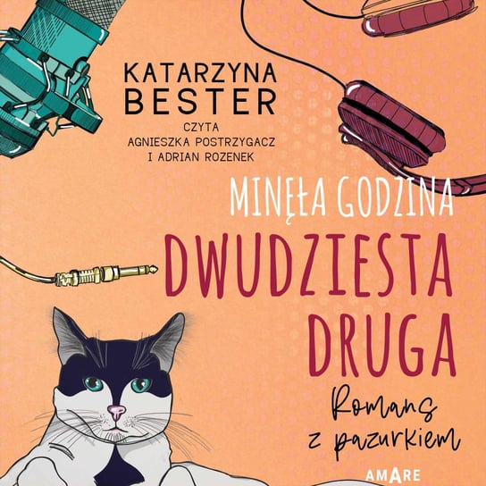 Minęła godzina dwudziesta druga. Romans z pazurkiem - audiobook Bester Katarzyna