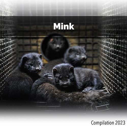 Mink Compilation 2023 John Toso, Mauro Rawn, Benny Montaquila Dj