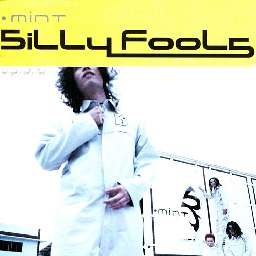 Mint Silly Fools