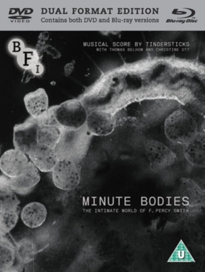 Minute Bodies (brak polskiej wersji językowej) Staples A. Stuart