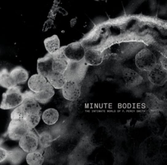 Minute Bodies... (Limited Edition) Tindersticks