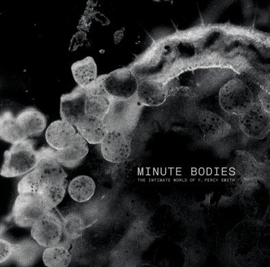 Minute Bodies... Limited Edition Tindersticks