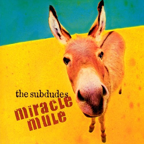Miracle Mule the subdudes