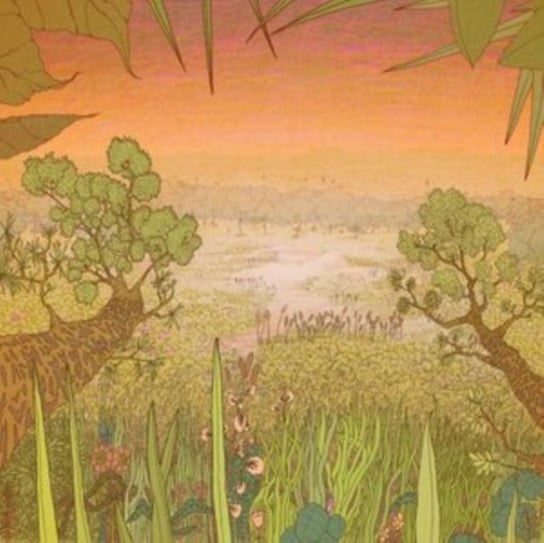 Mirage On the Meadow, płyta winylowa Pine Barons