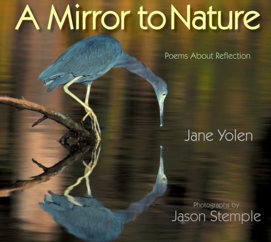 Mirror to Nature, A. Poems about Reflection Yolen Jane