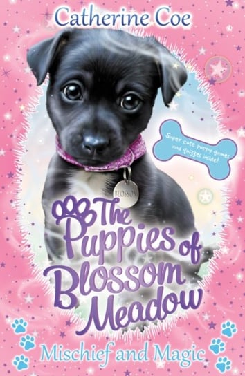 Mischief and Magic (Puppies of Blossom Meadow #2) Coe Catherine
