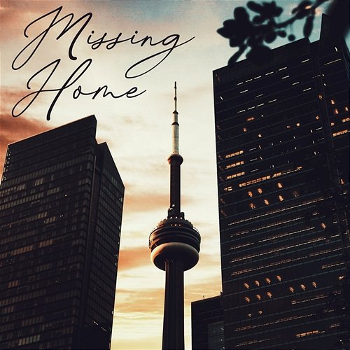 Missing Home THOUGHT, Sahil Dhull