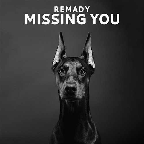 Missing You Remady