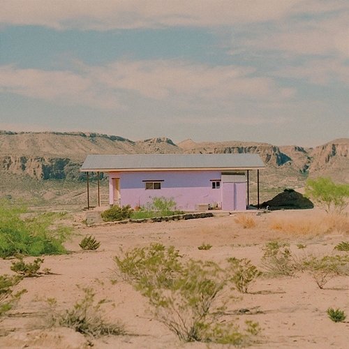 missing you Lavender