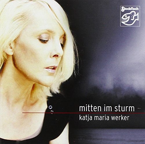 Mitten im Sturm Various Artists